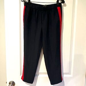 Banana Republic Dress Pants, Navy with Red Stripe